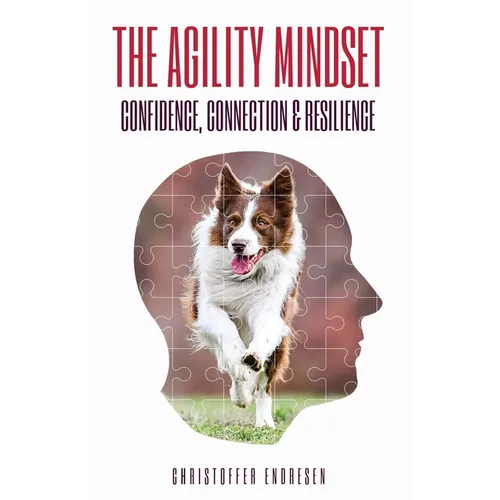 The Agility Mindset