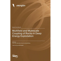 Multifield and Multiscale Coupling of Rocks in Deep Energy Exploitation