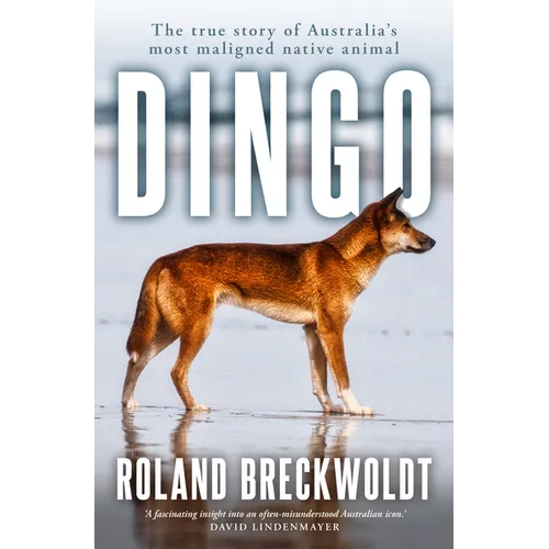 Dingo: The True Story of Australia's Most Maligned Native Animal