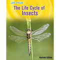 The Life Cycle of Insects