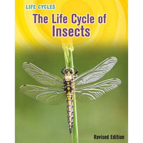 The Life Cycle of Insects