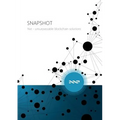 SNAPSHOT - Nxt unsurpassable blockchain solutions