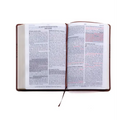 Santa Biblia de Promesas Reina Valera 1960 / Letra Gigante - 13 Puntos / Piel Especial Con Índice Y Cierre / Café // Spanish Promise Bible Rvr 1960 /