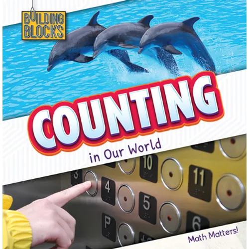 Counting in Our World