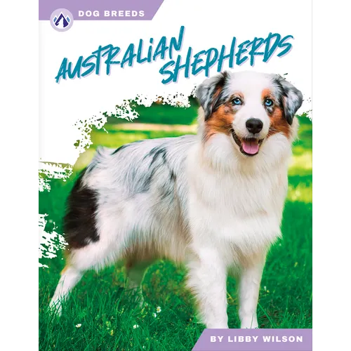 Australian Shepherds