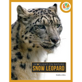 Snow Leopard