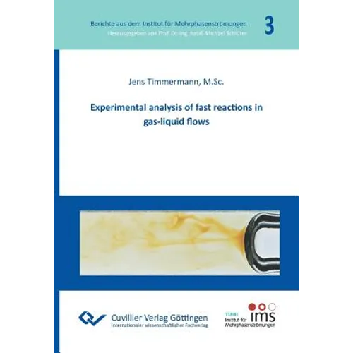 Experimental analysis of fast reactions in gas-liquid flows (Band 3)