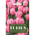 How to Grow Tulips: Beginners Guide to Planting, Caring, and Enjoying beautiful Tulipa species