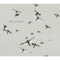 Trent Parke: Minutes to Midnight