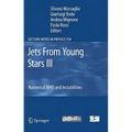 Jets from Young Stars III: Numerical Mhd and Instabilities