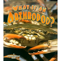 What Is an Arthropod?
