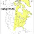 A Peterson Field Guide to Eastern Butterflies