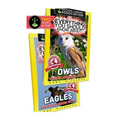 Everything You Should Know About: Owls and Eagles