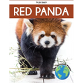 Red Panda