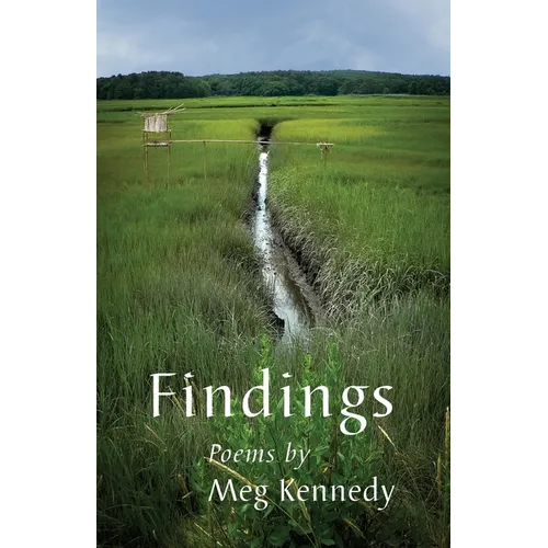 Findings