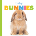 Baby Bunnies