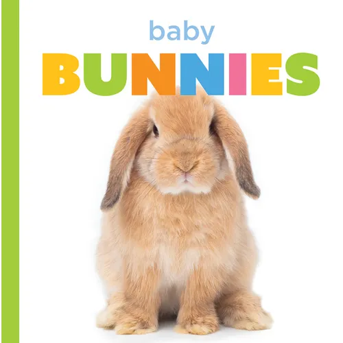 Baby Bunnies