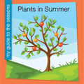 Plants in Summer