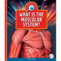 What Is the Muscular System?