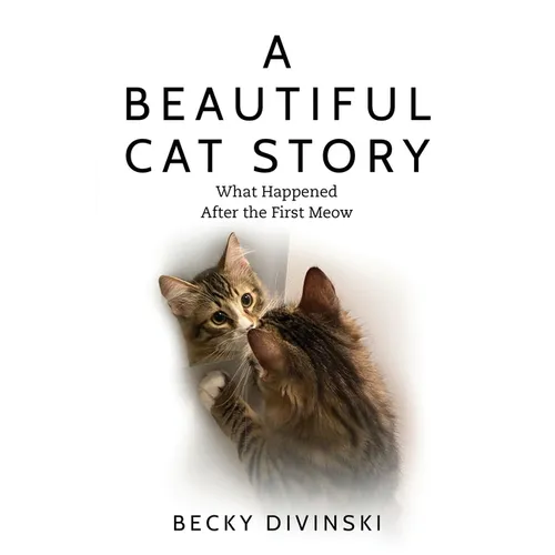A Beautiful Cat Story: What Happened After the First Meow