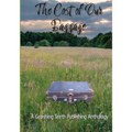The Cost of Our Baggage