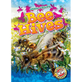 Bee Hives