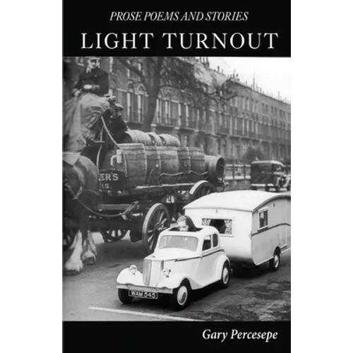 Light Turnout: Prose Poems and Stories