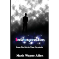 Introspection: From The Melvin Time Chronicles