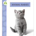 Animal Babies