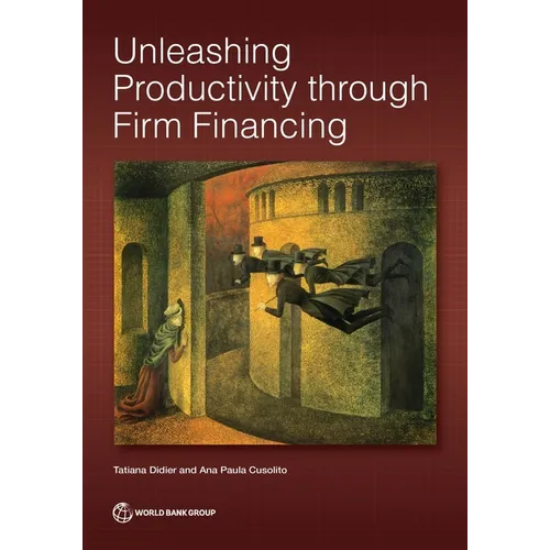Unleashing Productivity Through Firm Financing