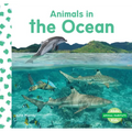 Animals in the Ocean