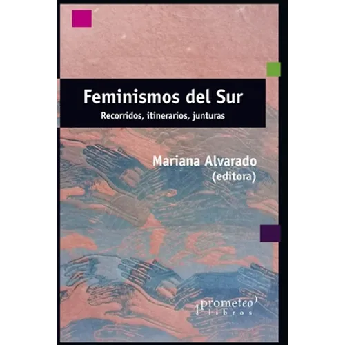Feminismos del sur: Recorridos, itinerarios, junturas