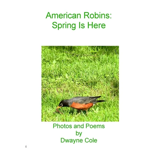 American Robins