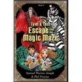 Escape From the Magic Maze