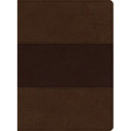 KJV Study Bible, Large Print Edition, Saddle Brown Leathertouch