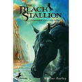 The Black Stallion