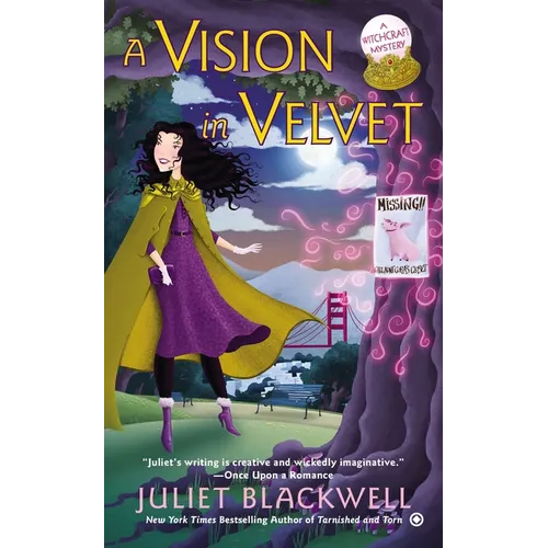 A Vision in Velvet - Mass Market Paperbound