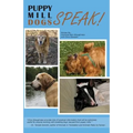 Puppy Mill Dogs SPEAK!: Happy Stories and Helpful Advice
