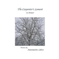 The Carpenter's Lament in Winter