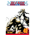 Bleach, Vol. 45