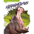 Hippopotamus