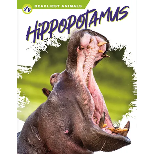 Hippopotamus