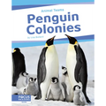 Penguin Colonies