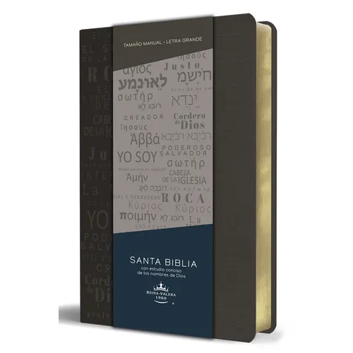 Biblia Rvr 1960 Letra Grande Tamaño Manual, Simil Piel Gris Con Nombres de Dios / Spanish Bible Rvr 1960 Handy Size Large Print Leathersoft Grey, Name