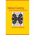 Indian Country: Essays on Contemporary Native Culture