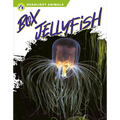 Box Jellyfish