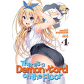 There's a Demon Lord on the Floor Vol. 4