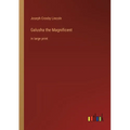 Galusha the Magnificent: in large print