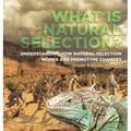 What is Natural Selection? Understanding How Natural Selection Works and Phenotype Changes Grade 6-8 Life Science
