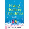 Flying Home for Christmas